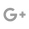 Grey Google+ Icon
